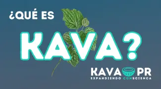 Imagen que lee 'Que es kava?'